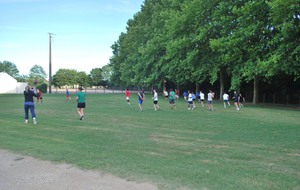 520caabd6b854_hand2013010.jpg