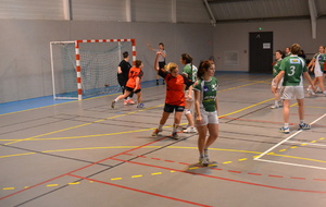 532f0f5a5d36f_DSC0102.JPG