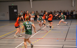 53382b5fd9237_DSC0501.JPG