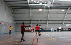 536fd2ab80328_IMG4918.JPG