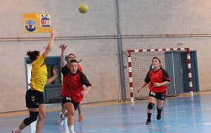 5432dcb6cfc1b_IMG9051.JPG