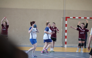 574f174235de3_IMG0368.JPG