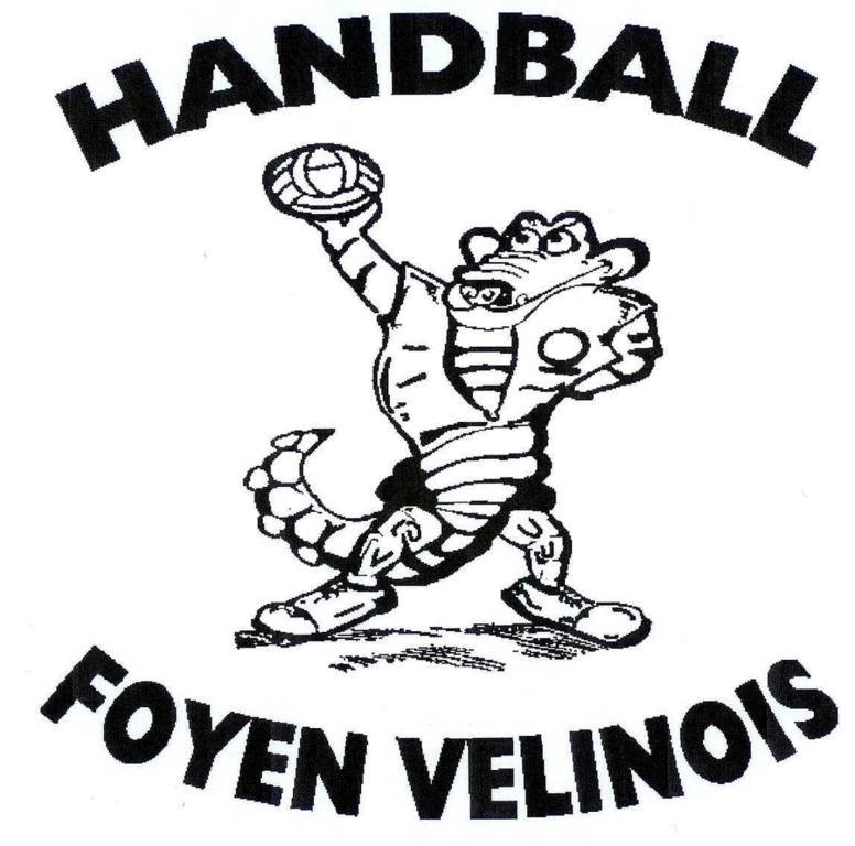 (c) Handballfoyenvelinois.com